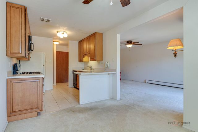 2604 N Windsor Drive 204, Arlington Heights, IL 60004
