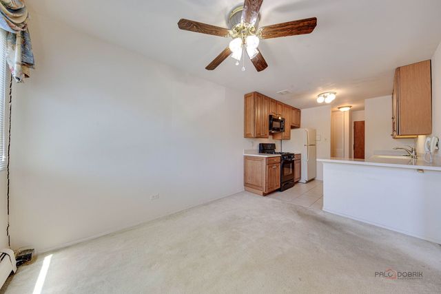 2604 N Windsor Drive 204, Arlington Heights, IL 60004