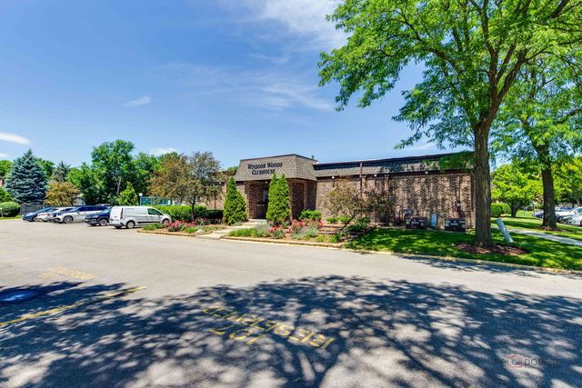 2604 N Windsor Drive 204, Arlington Heights, IL 60004