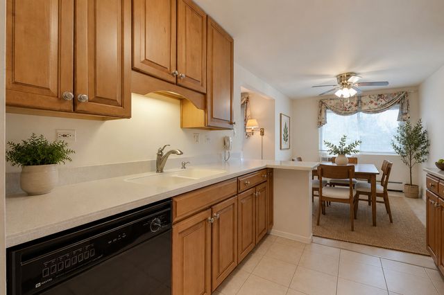 2604 N Windsor Drive 204, Arlington Heights, IL 60004