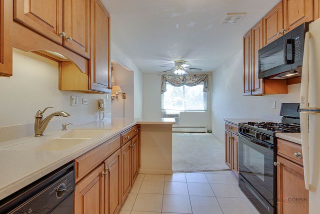 2604 N Windsor Drive 204, Arlington Heights, IL 60004