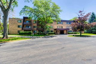 2604 N Windsor Drive 204, Arlington Heights, IL 60004