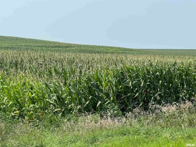 0 140th Avenue, Donahue, IA 52746