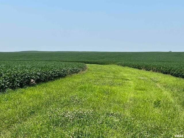 0 140th Avenue, Donahue, IA 52746