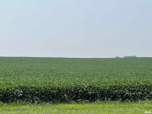 0 140th Avenue, Donahue, IA 52746