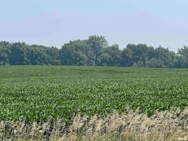 0 140th Avenue, Donahue, IA 52746