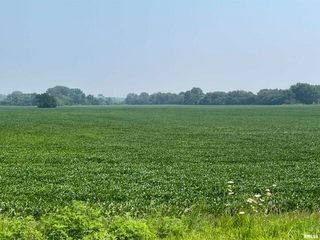 0 140th Avenue, Donahue, IA 52746