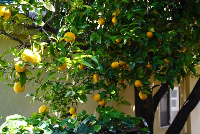 2645 Maxwell, Oakland, CA 94619