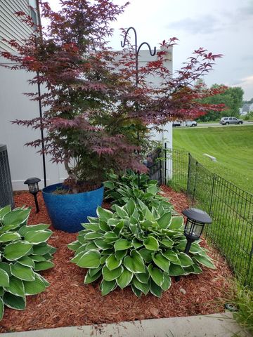 423 Palmetto Dr, Columbia, TN 38401