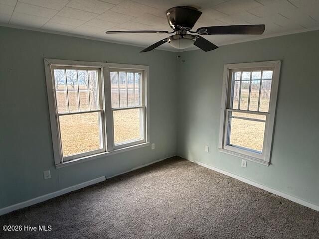 905 N C Street, Bridgeton, NC 28519