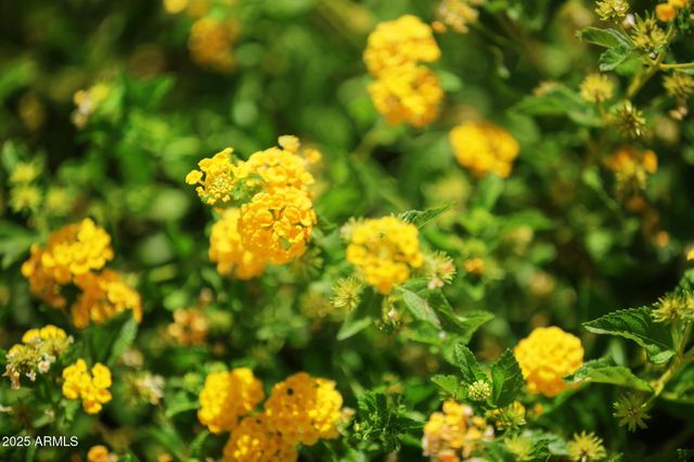 6839 W El Cortez Place, Peoria, AZ 85382