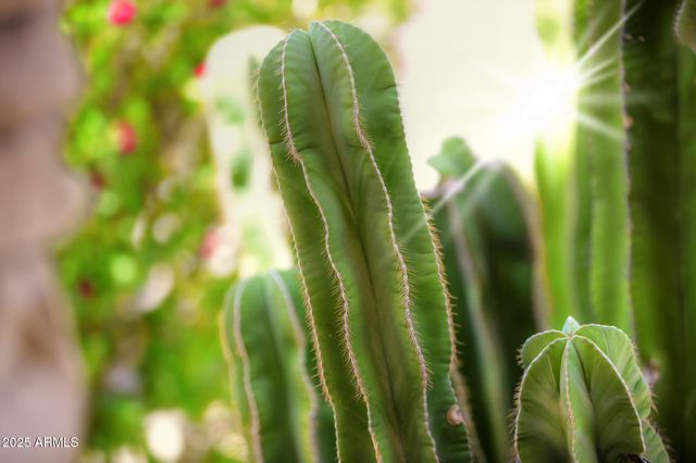 6839 W El Cortez Place, Peoria, AZ 85382