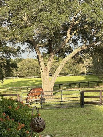 19950 SW 5TH PLACE, Dunnellon, FL 34431