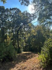 TBD Tiki Trail, Livingston, TX 77351