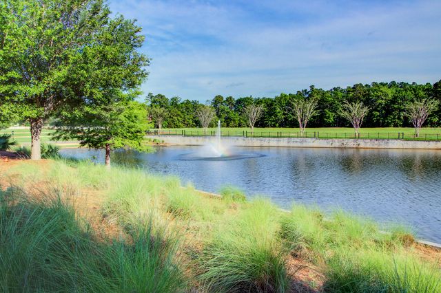 214 Warbler Way, Summerville, SC 29483