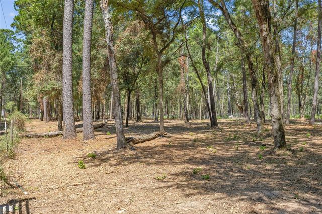 0 Mitchell Lane, Plantersville, TX 77363