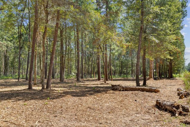 0 Mitchell Lane, Plantersville, TX 77363