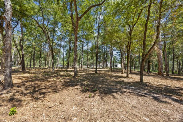 0 Mitchell Lane, Plantersville, TX 77363