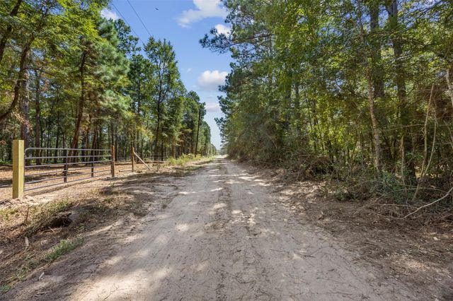 0 Mitchell Lane, Plantersville, TX 77363