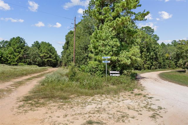 0 Mitchell Lane, Plantersville, TX 77363