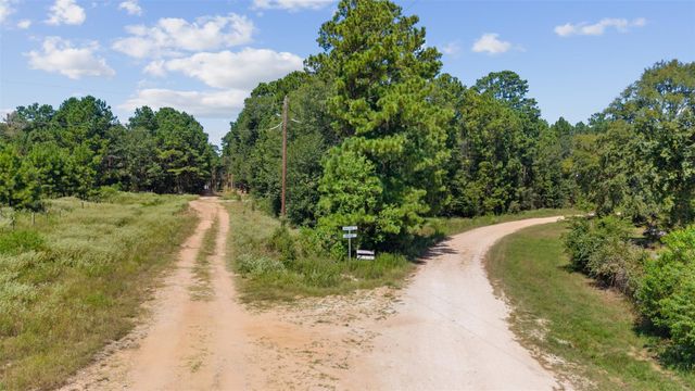 0 Mitchell Lane, Plantersville, TX 77363