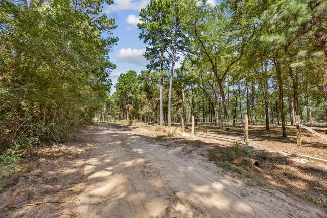 0 Mitchell Lane, Plantersville, TX 77363