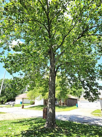 4810 W Tarkio Street, Springfield, MO 65802