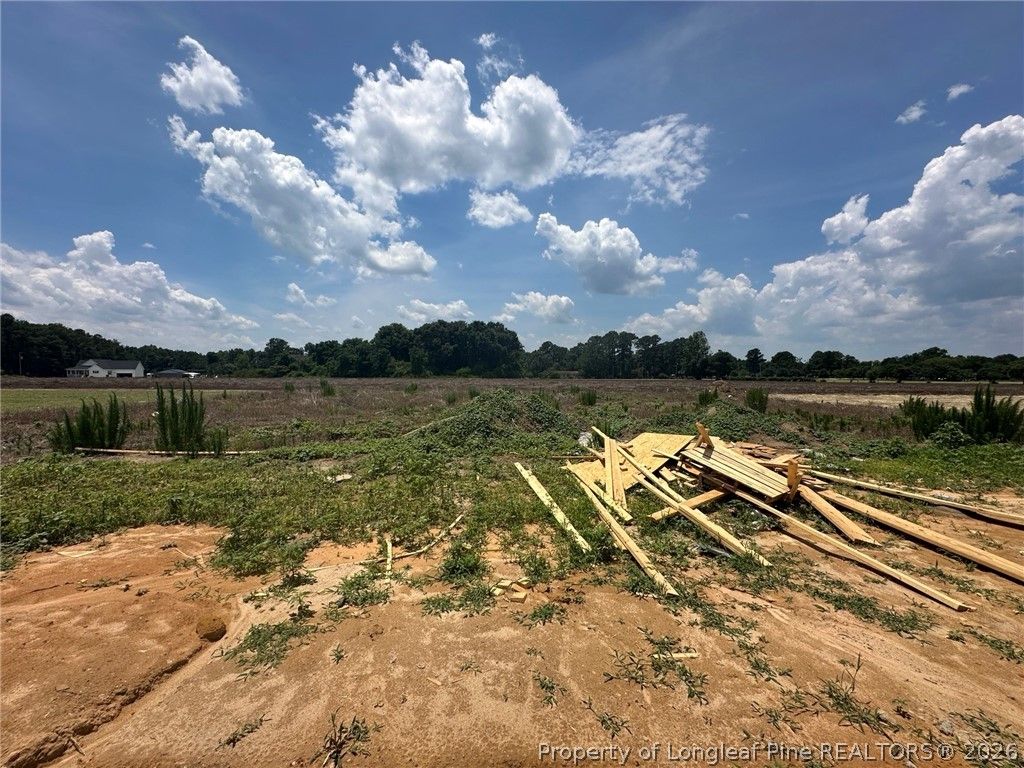 8363 Shannon Road, Shannon, NC 28386 — photo 15