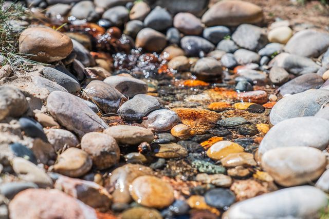 613 Camino Del Monte Sol, Santa Fe, NM 87505