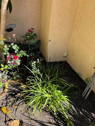 7009 El Fuerte Street, Carlsbad, CA 92009