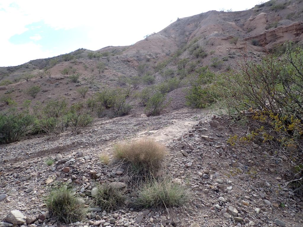 Image 11 of property listing at Address unavailable.