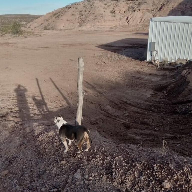 Image 24 of property listing at Address unavailable.