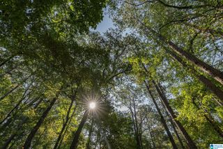 000 DEPOT STREET, Pell City, AL 35125