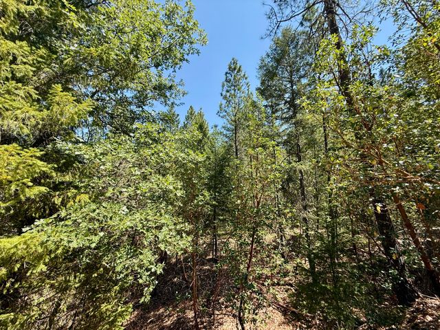 Hwy 238 10308129, Applegate, OR 97530