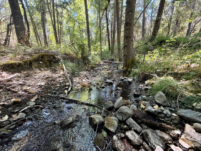 Hwy 238 10308129, Applegate, OR 97530