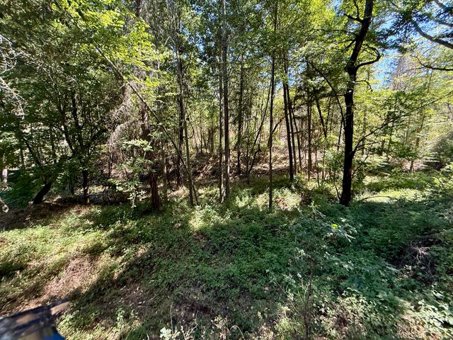 Hwy 238 10308129, Applegate, OR 97530