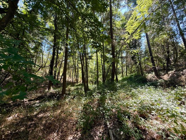Hwy 238 10308129, Applegate, OR 97530