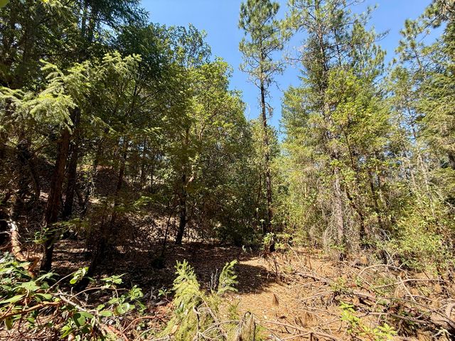 Hwy 238 10308129, Applegate, OR 97530