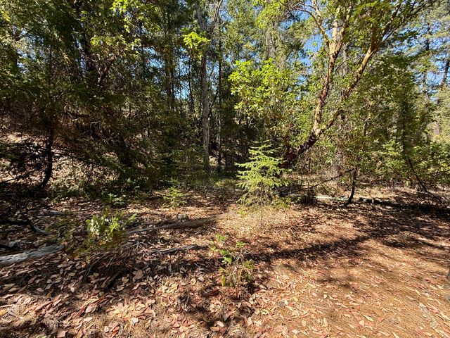 Hwy 238 10308129, Applegate, OR 97530