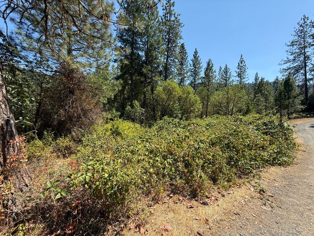 Hwy 238 10308129, Applegate, OR 97530