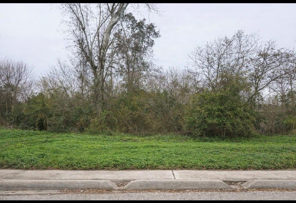 10311 Raymondville Road, Houston, TX 77093