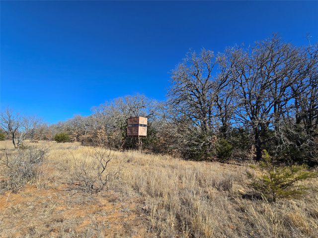 721 Co Rd 335, Ranger, TX 76470