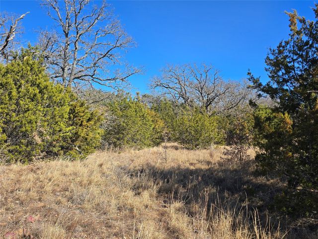 721 Co Rd 335, Ranger, TX 76470