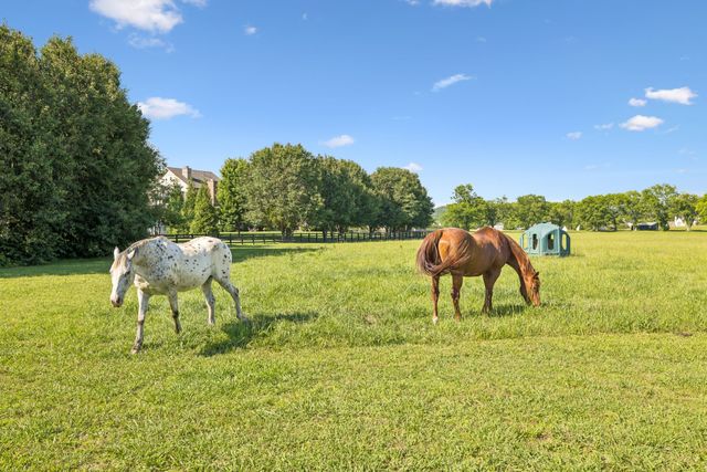 5017 Native Pony Trl, College Grove, TN 37046