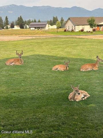 86 Nuthatch LN, Moyie Springs, ID 83845