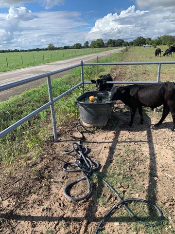 10658 County Road 350, Terrell, TX 75160