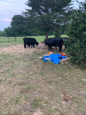 10658 County Road 350, Terrell, TX 75160