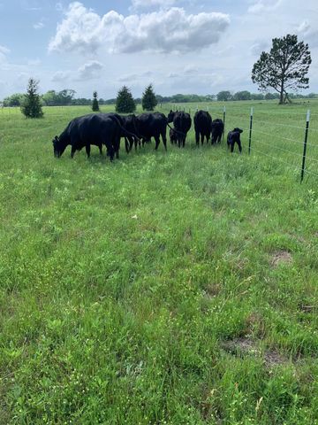 10658 County Road 350, Terrell, TX 75160