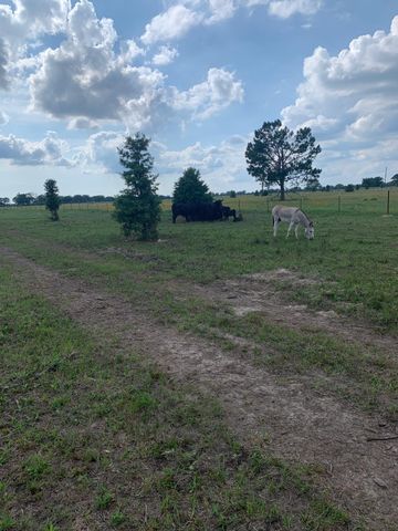 10658 County Road 350, Terrell, TX 75160