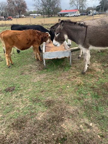 10658 County Road 350, Terrell, TX 75160